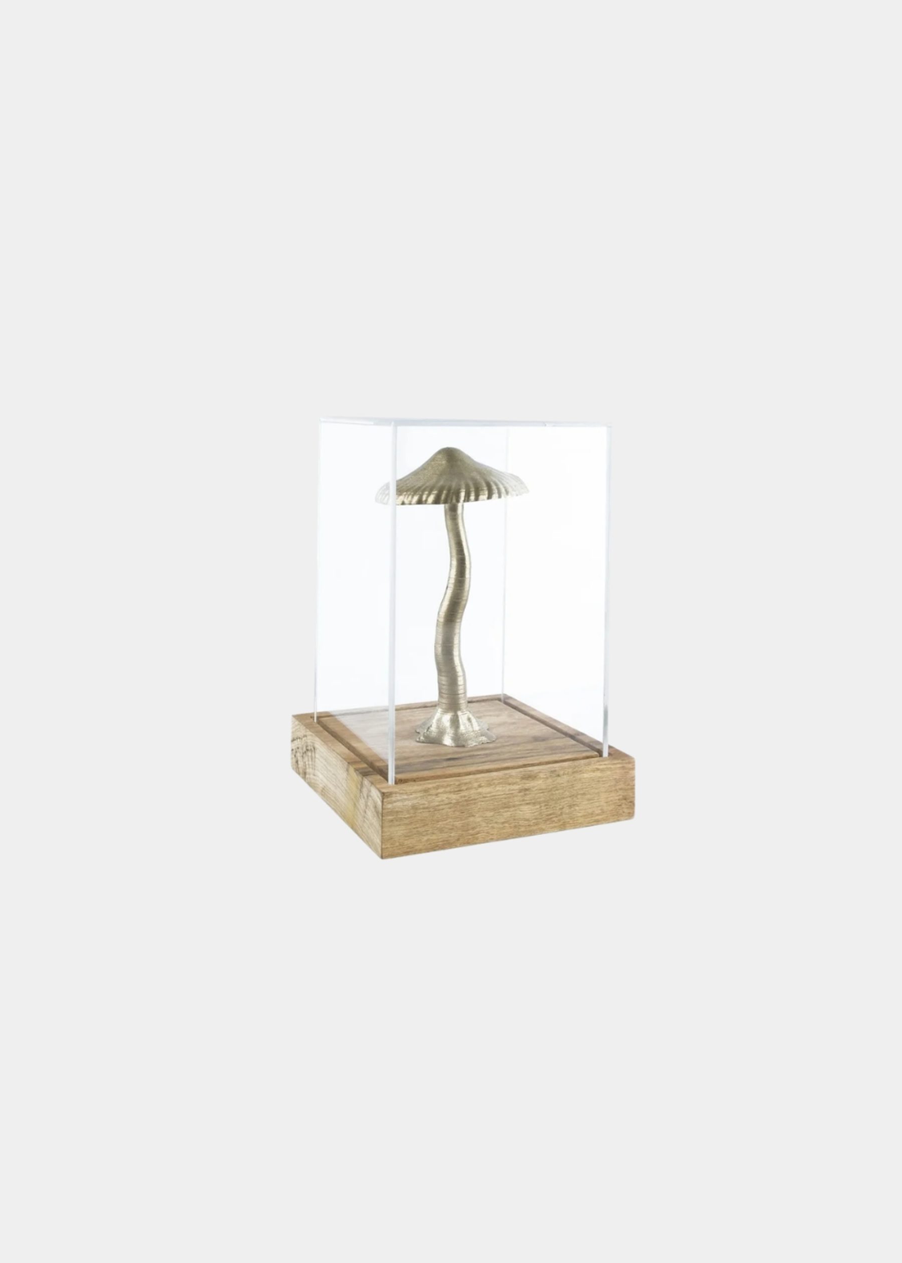 Magic Grow Box Escultura 2