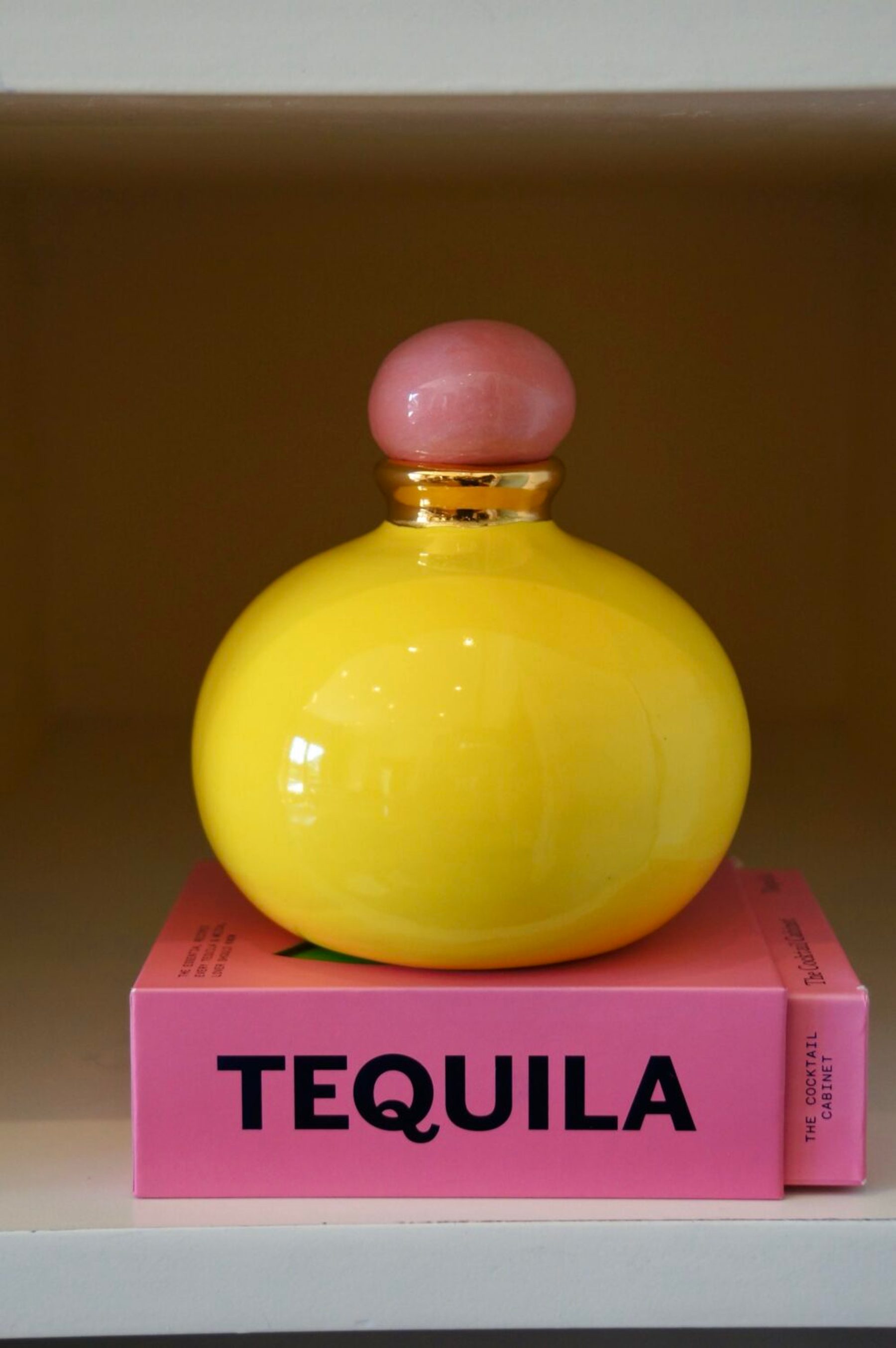 Vasinho Pop Amarelo & Rosa 2