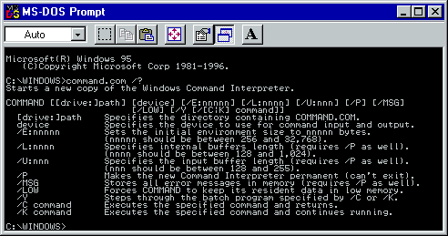 An MS-DOS interface showing lines of white text on a black background. 