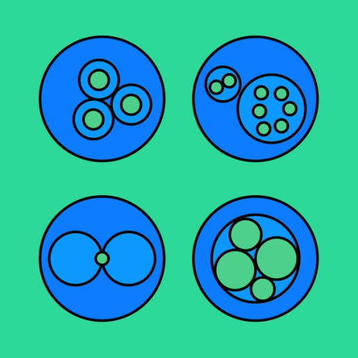blue and green cells at different stages in a cell lifecycle