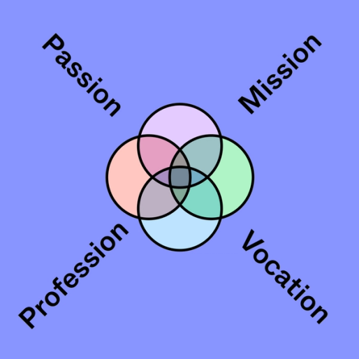 colorful venn diagram surrounded by the words passion, profession, mission and vocation