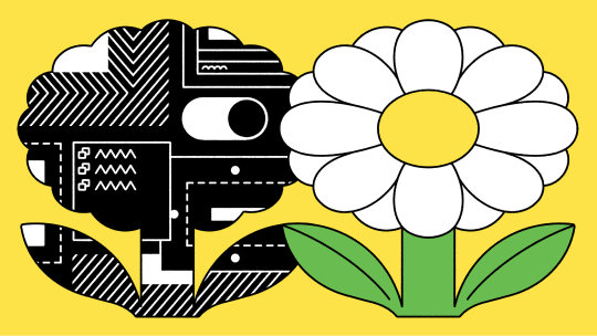 Open Source Libraries