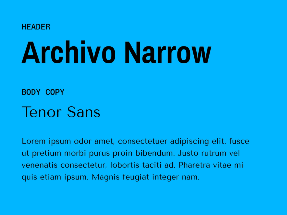 Example text showing Tenor Sans and Archivo Narrow as a font pairing.