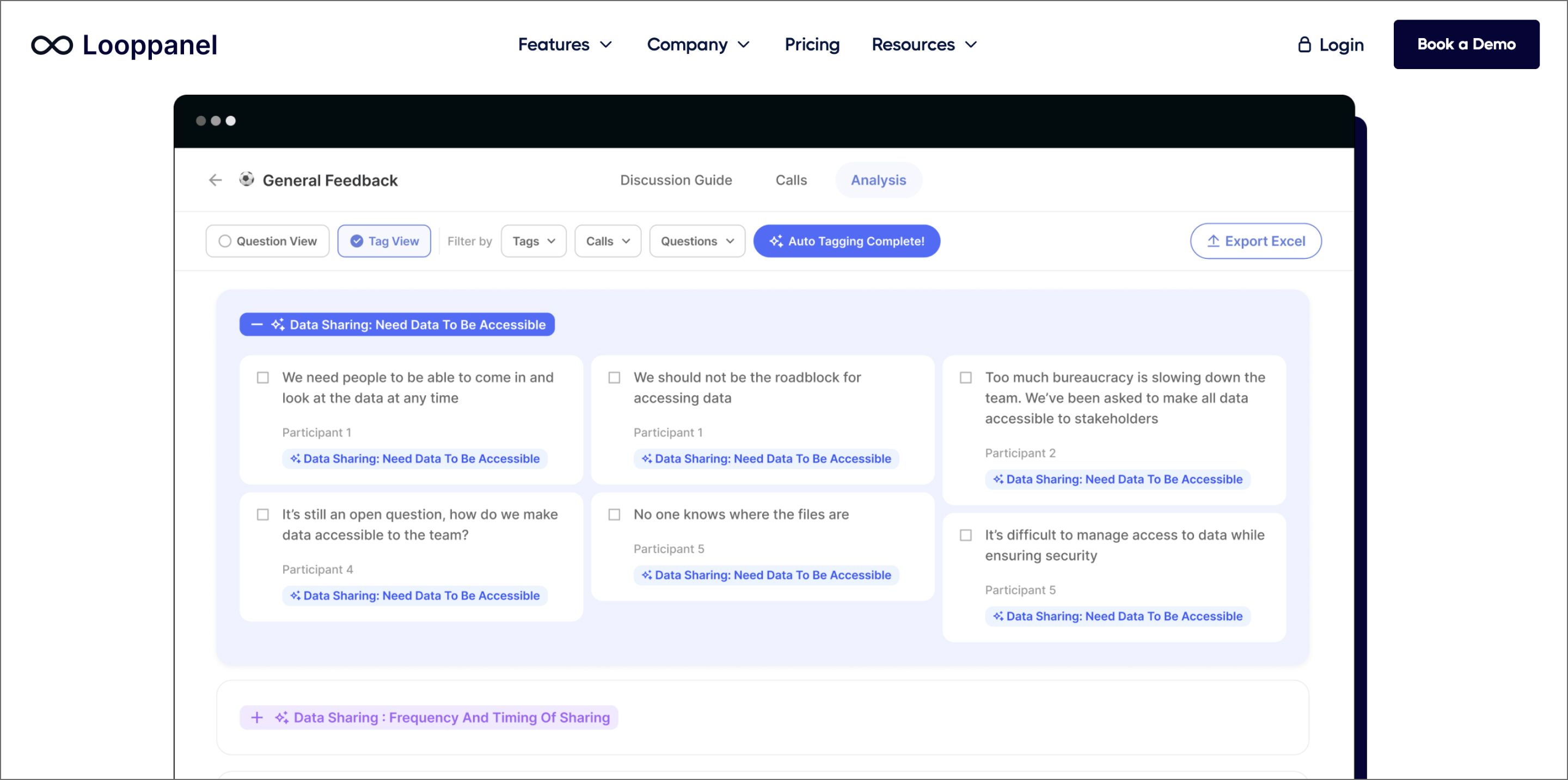 Screenshot of Looppanel’s website