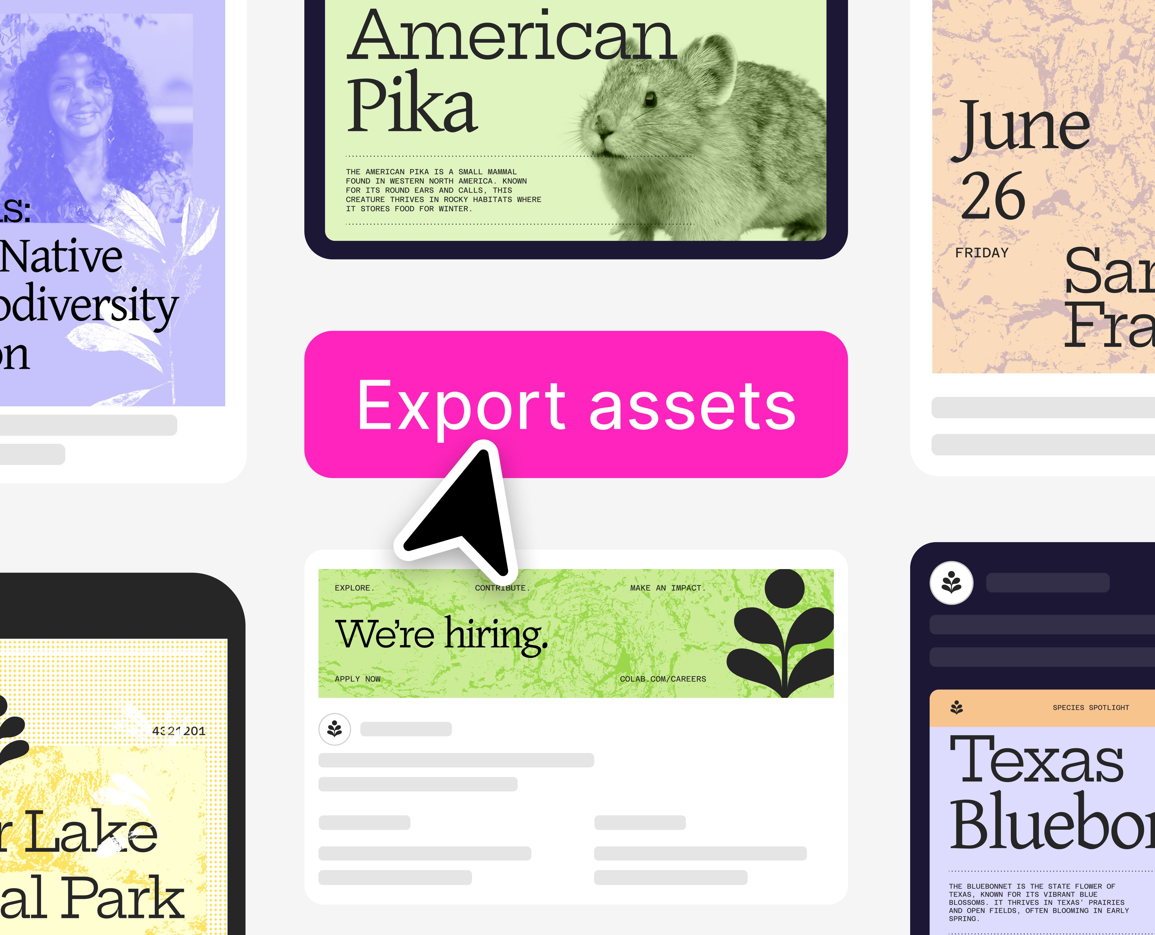 Easily export your ads in various formats