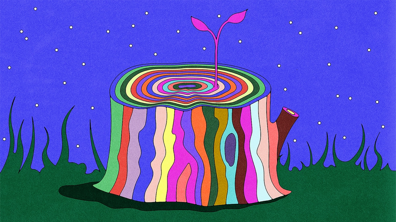 Illustration eines bunten Baumstumpfs, von dem ein Sprössling vor einem sternenklaren Nachthimmel wächst