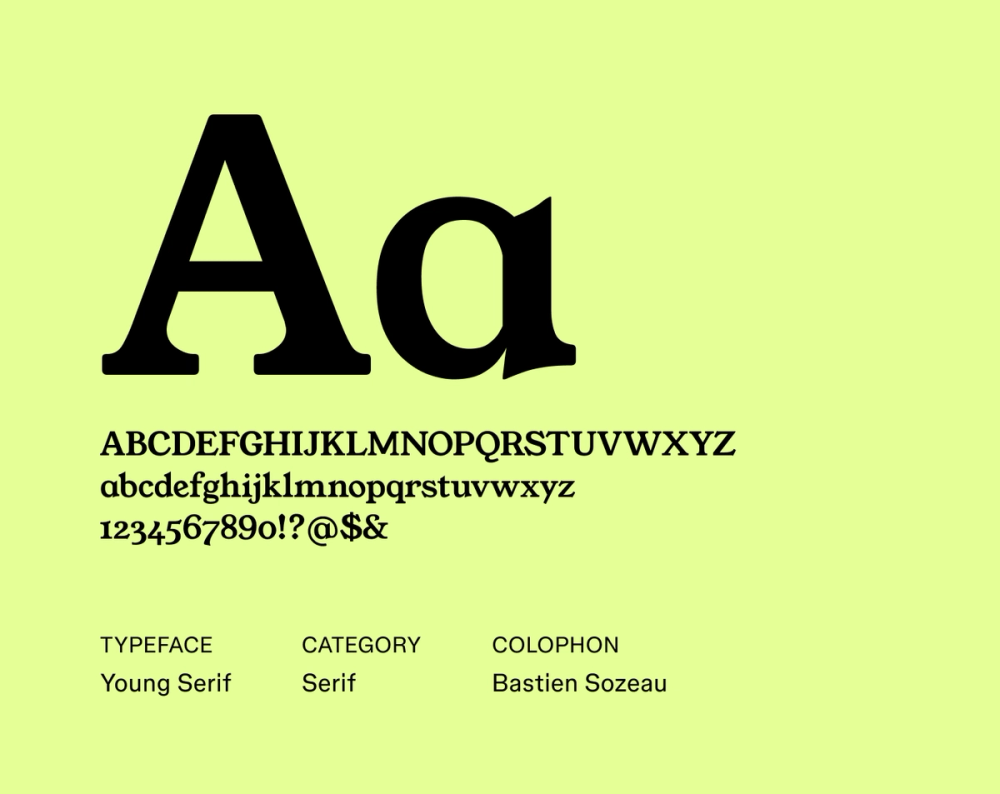 Young Serif sample featuring open letterforms, clear serifs, and a modern, understated elegance.