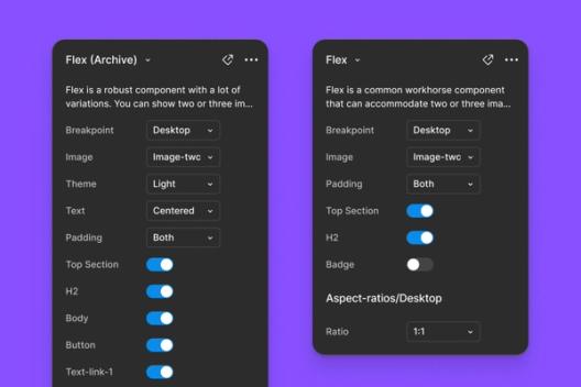 Two side-by-side configuration panels for a component called "Flex," showing options like breakpoint, image layout, theme, padding, and toggles for text sections. One panel includes an "Archive" label.