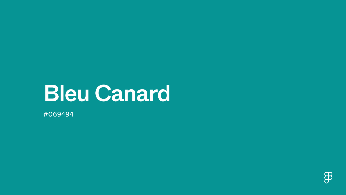 color Bleu canard