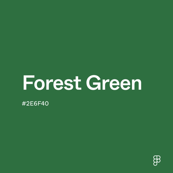Dark Green Color: Hex Code, Palettes & Meaning | Figma