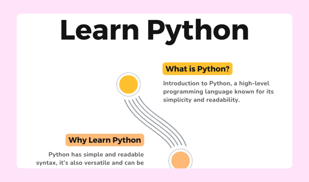 An example infographic that introduces readers to the Python programming language