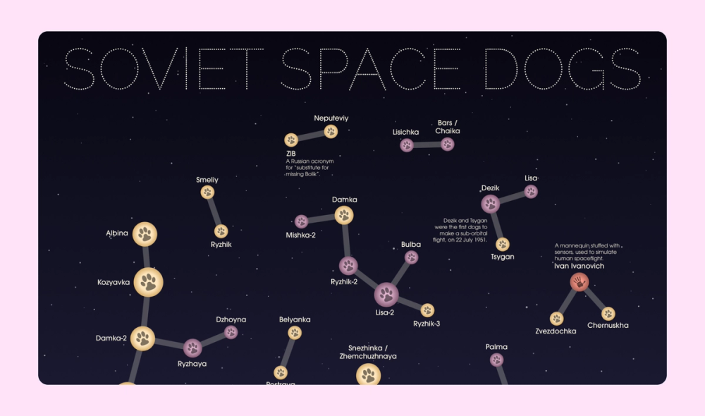 An infographic about dogs sent on outer space missions to creatively mimic constellations in the night sky