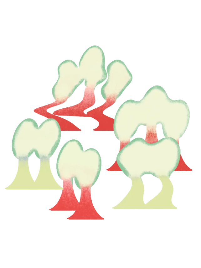 A simple and stylized illustration of a grove of trees. The trees have light green foliage with red trunks, creating a striking contrast. The trees are arranged in a semi-random pattern, with a few red paths winding through them, giving the scene a whimsical, almost surreal feel. The background is transparent, emphasizing the trees and paths.