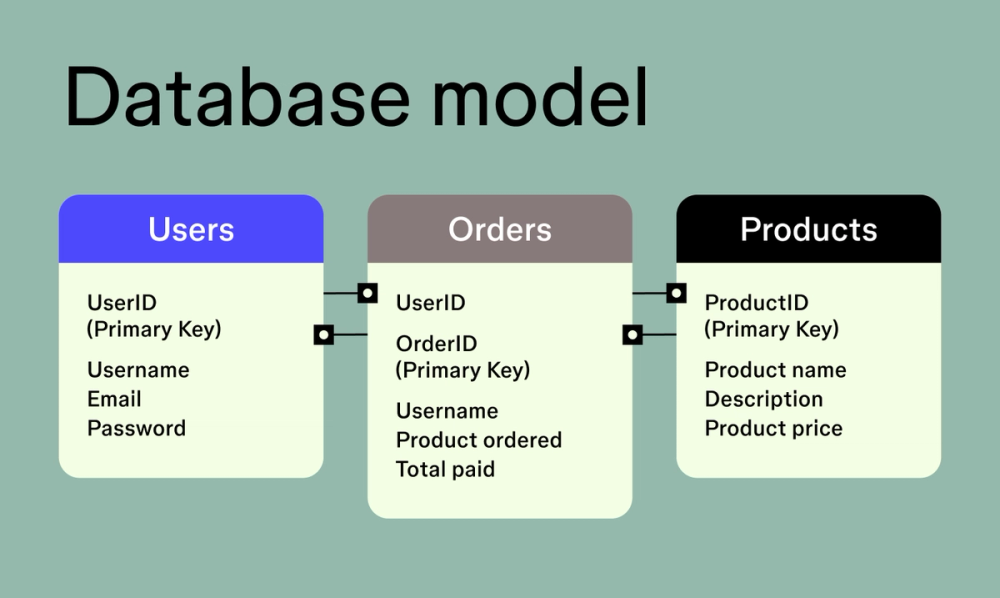 Website structure example for the database model type