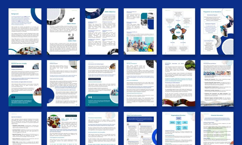 Screenshot of company A4 profile brochure