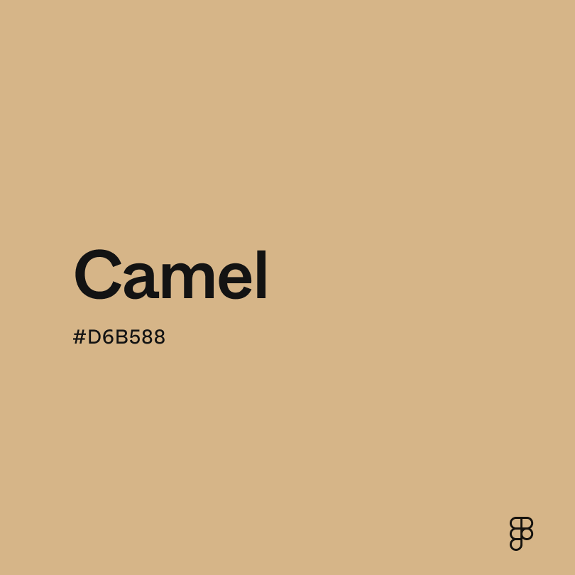 Camel