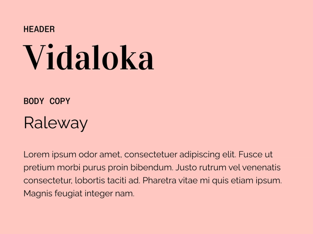 Vidaloka and Raleway wedding font pairing