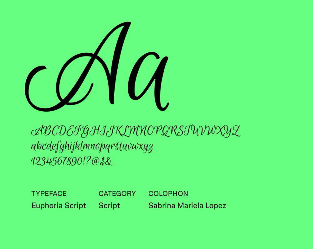 Example text showing Euphoria Script