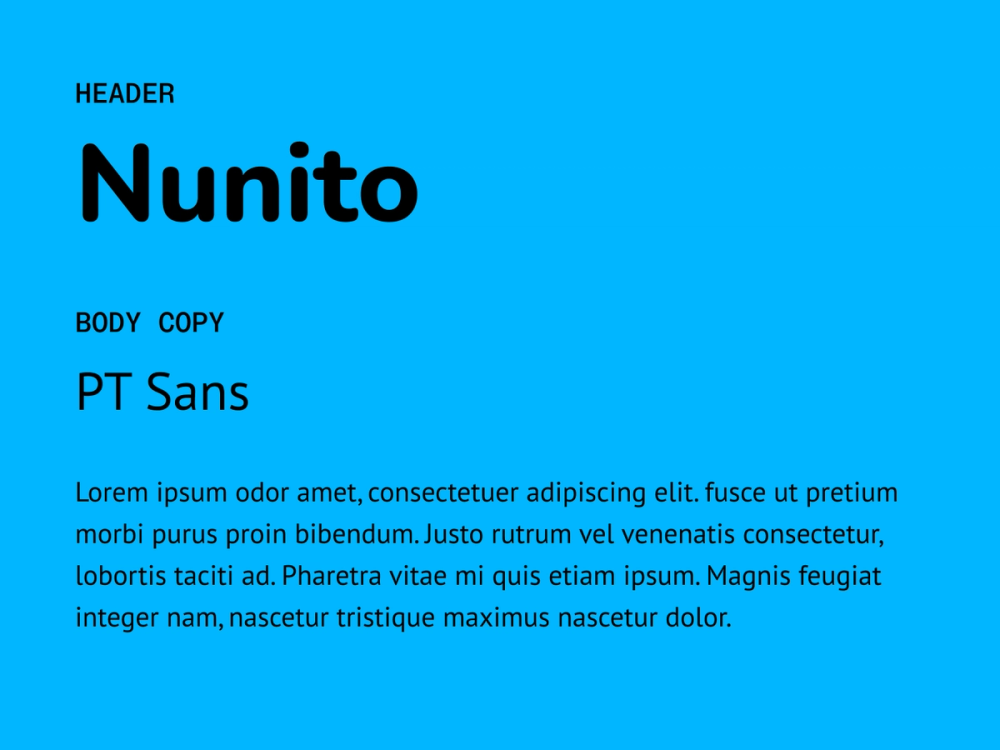 Example text showing Nunito and PT Sans as a font pairing.