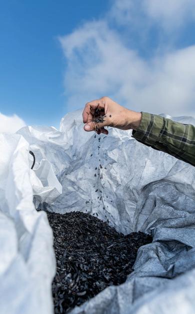 A photograph of a fistful of biochar, a charcoal-like substance.