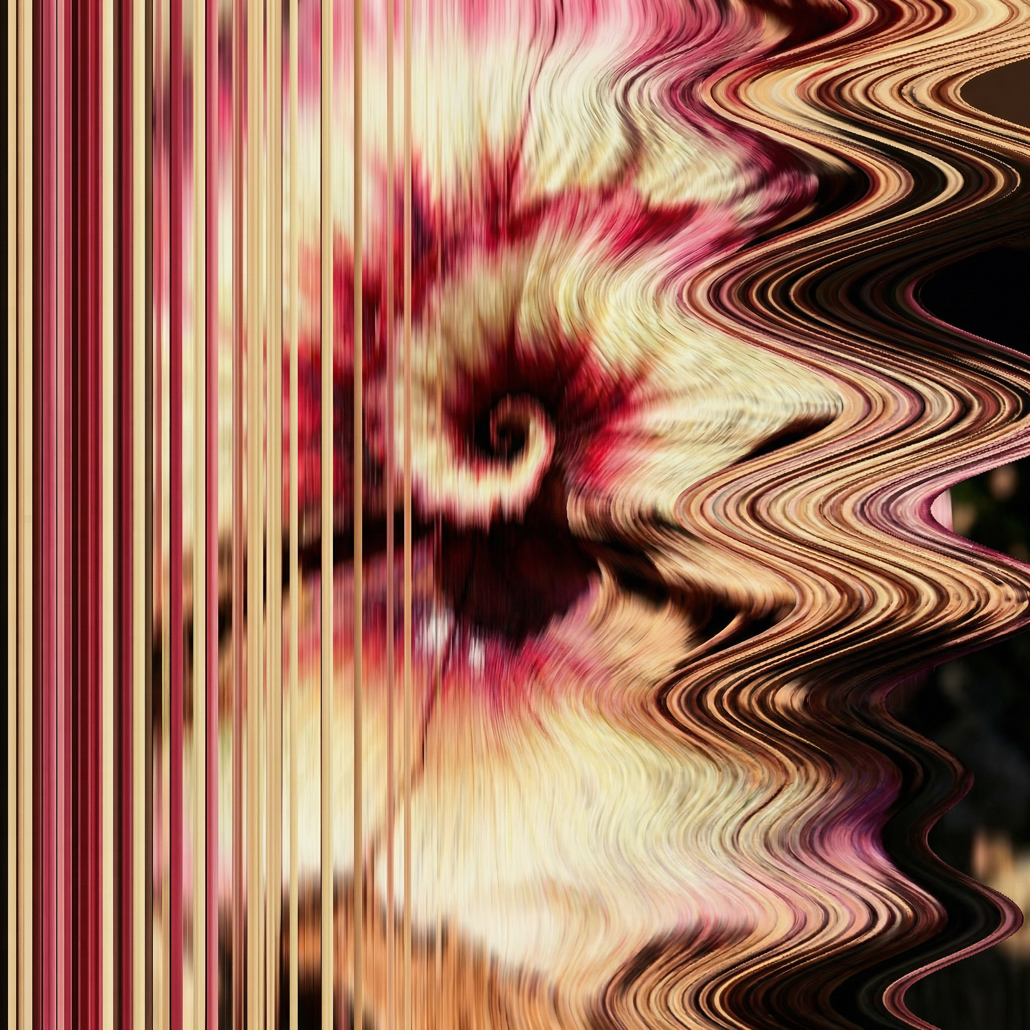 A distorted version of the combined flower and rock image, with vertical streaking on the left and wavy, rippling distortion on the right in deep pink, cream, and brown tones. 