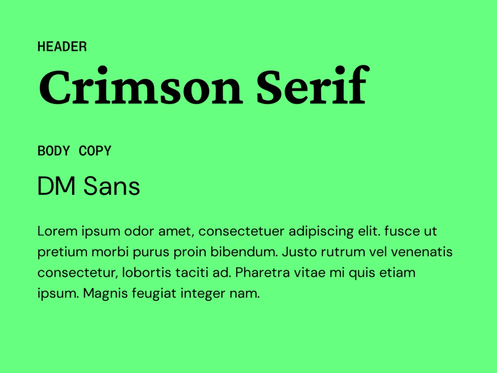 Example text showing Crimson Serif and DM Sans as a font pairing.