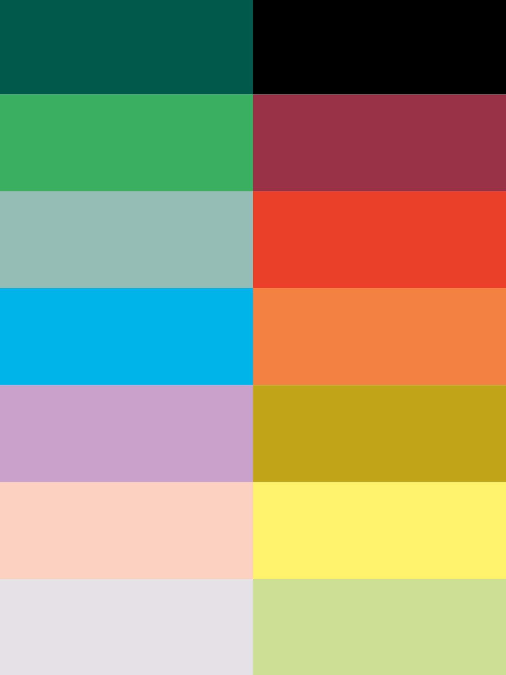 Seven pairs of color swatches arranged in two columns, ranging from dark teal and black at the top to light gray and pale green at the bottom.