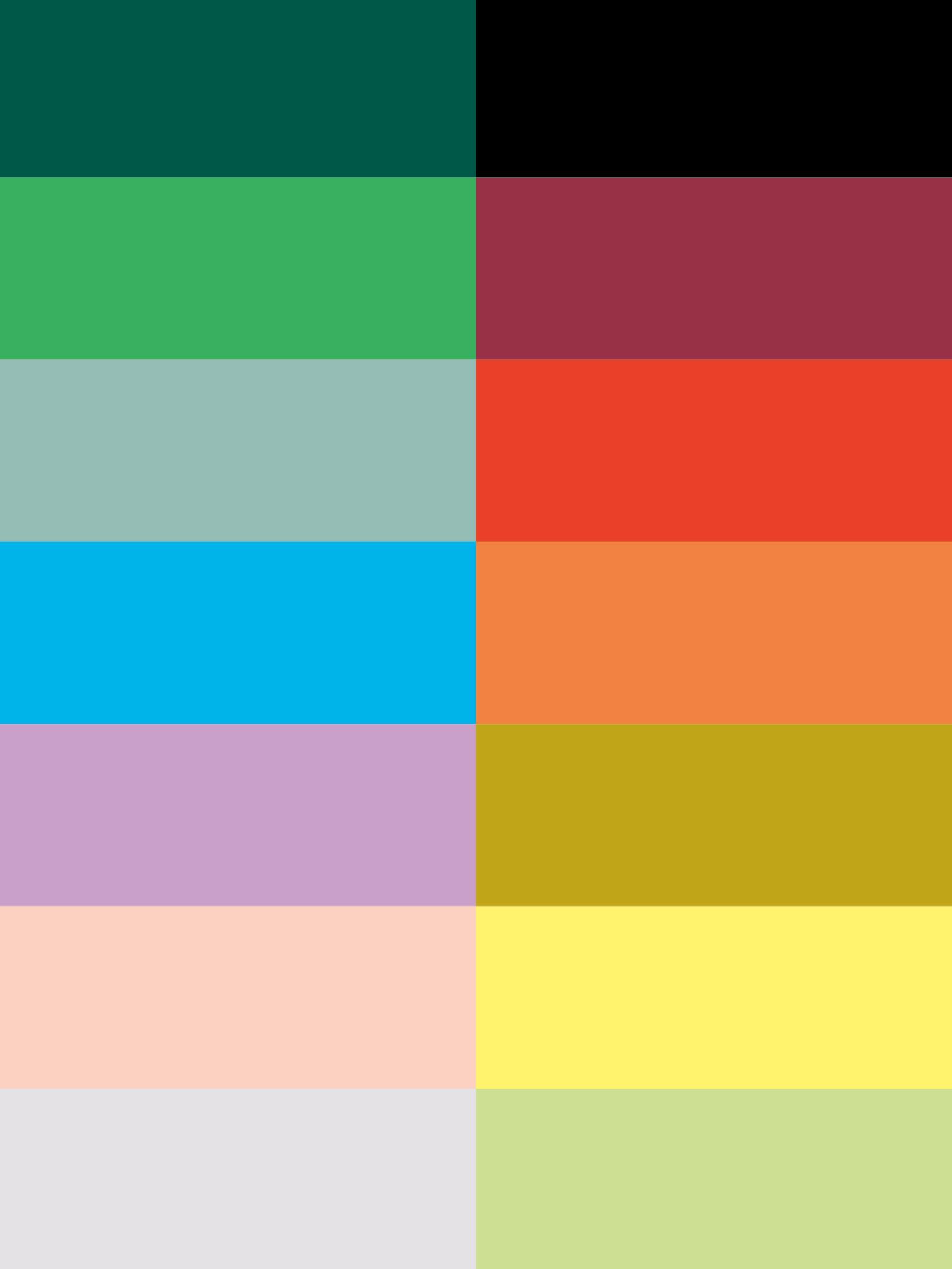 Seven pairs of color swatches arranged in two columns, ranging from dark teal and black at the top to light gray and pale green at the bottom.