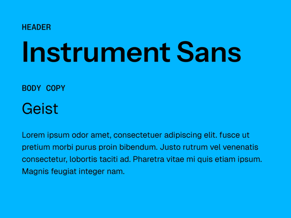 Example text showing Instrument Sans and Geist as a font pairing.