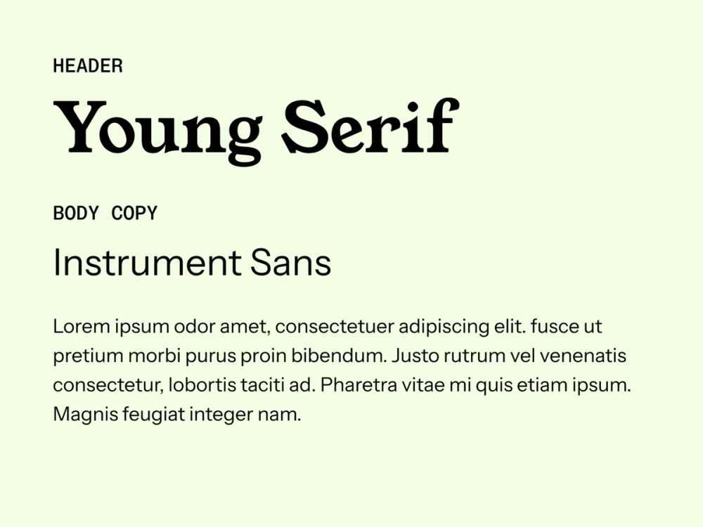 Example text showing Young Serif and Instrument Sans as a font pairing.