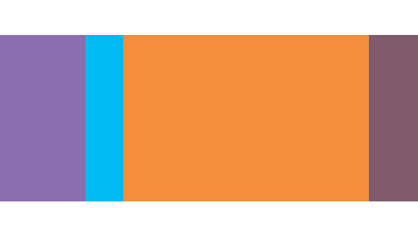 A simple graphic featuring four vertical bars in different colors. From left to right, the bars are purple, light blue, orange, and brown.