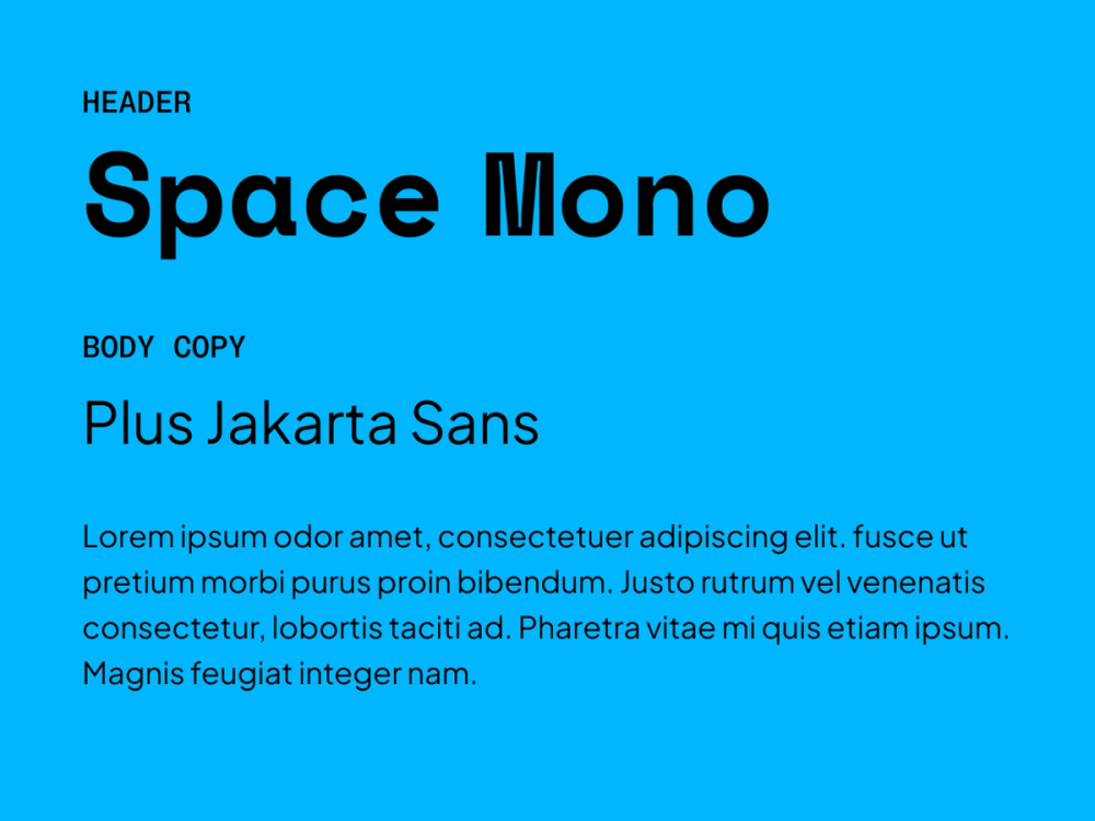 Example text showing Space Mono and Plus Jakarta Sans as a font pairing