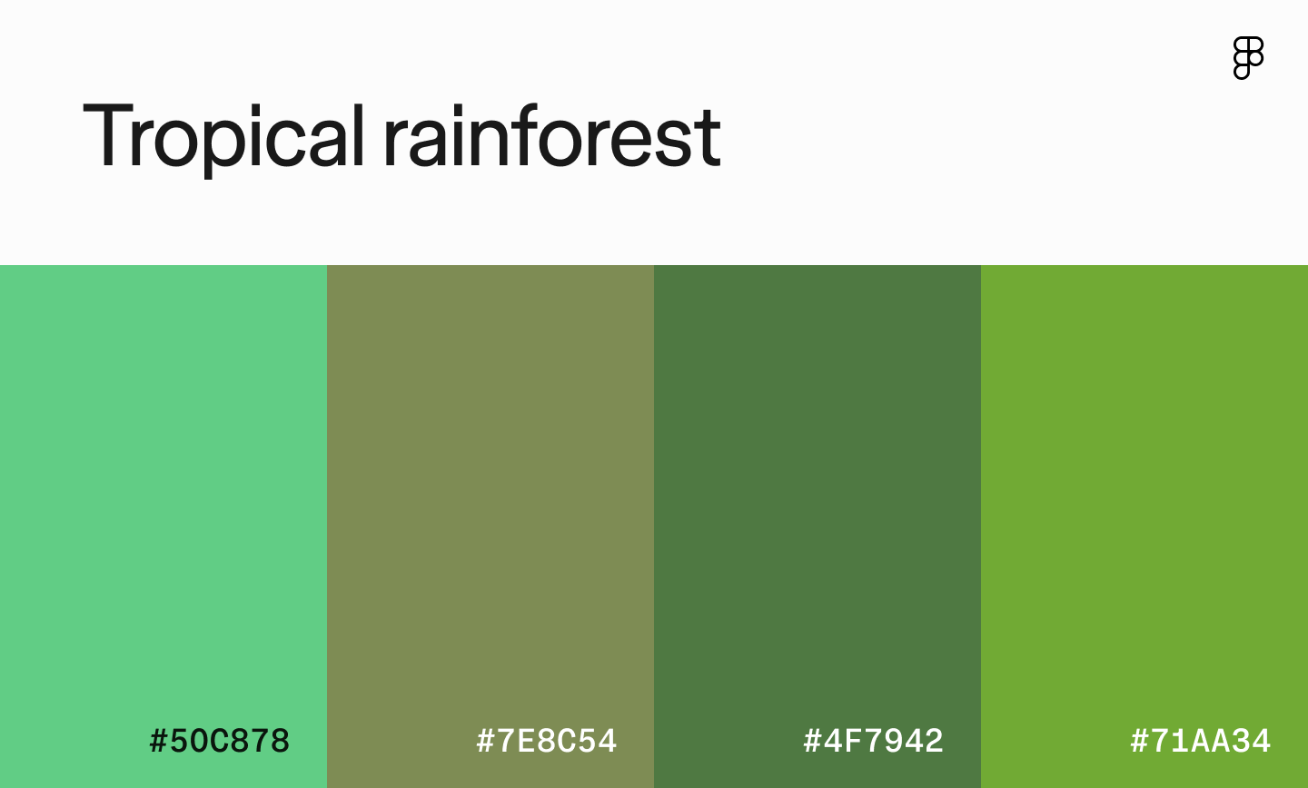 Tropical rainforest color palette