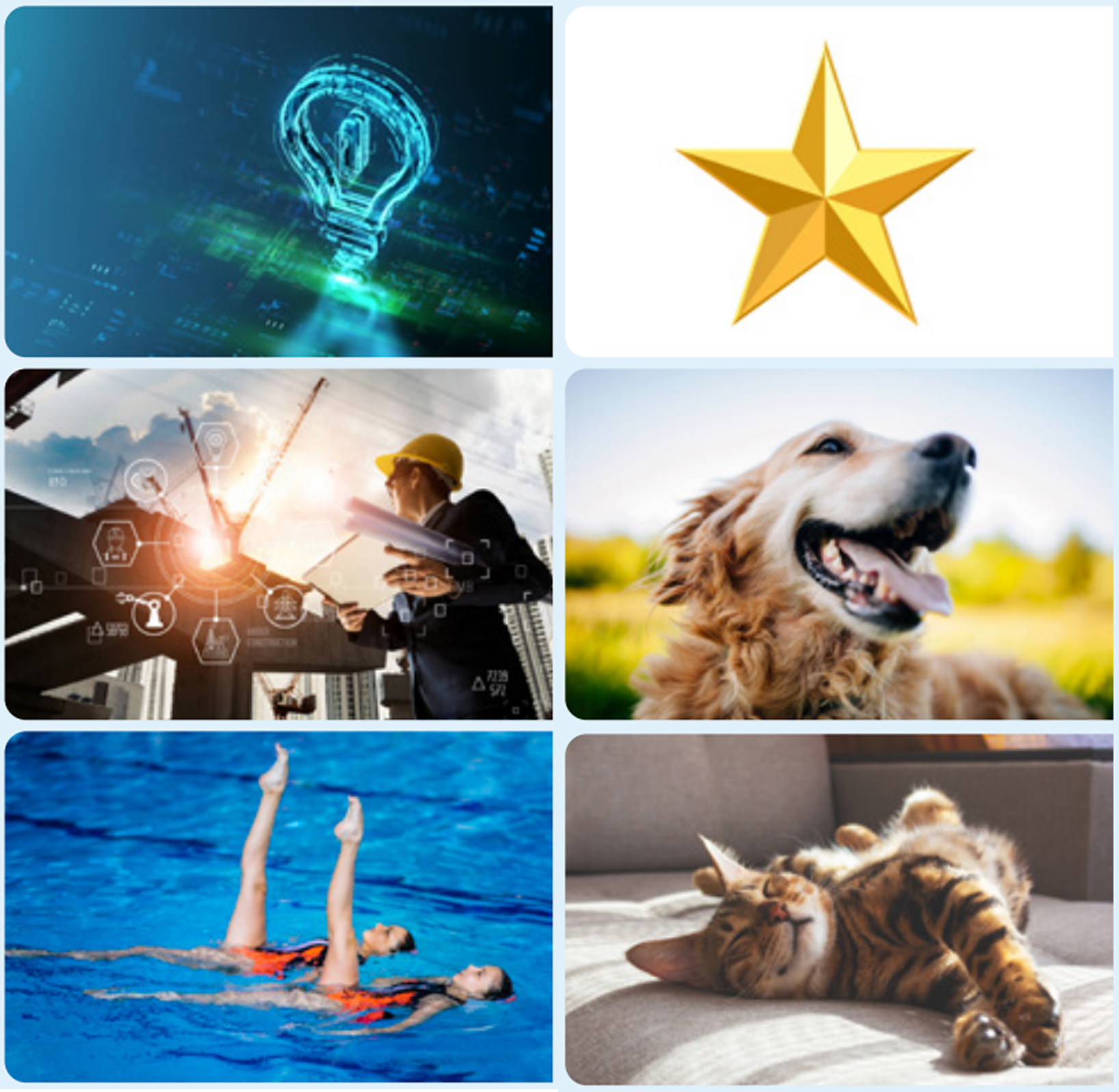 A lightbulb, construction worker, synchronized swimmers, a star, a dog, and a cat