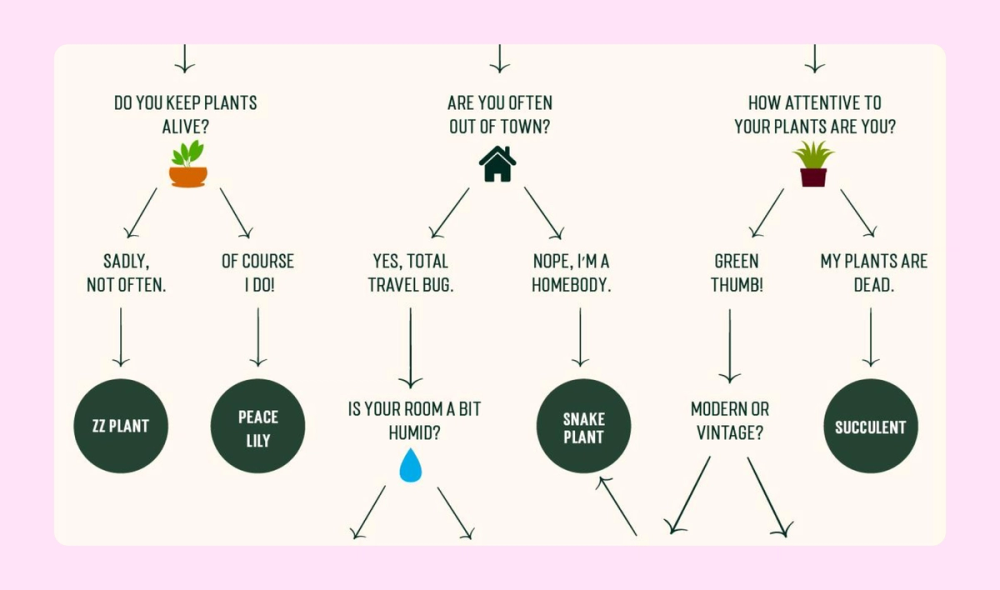 Infographic that helps readers choose the perfect houseplant for their lifestyle and environment