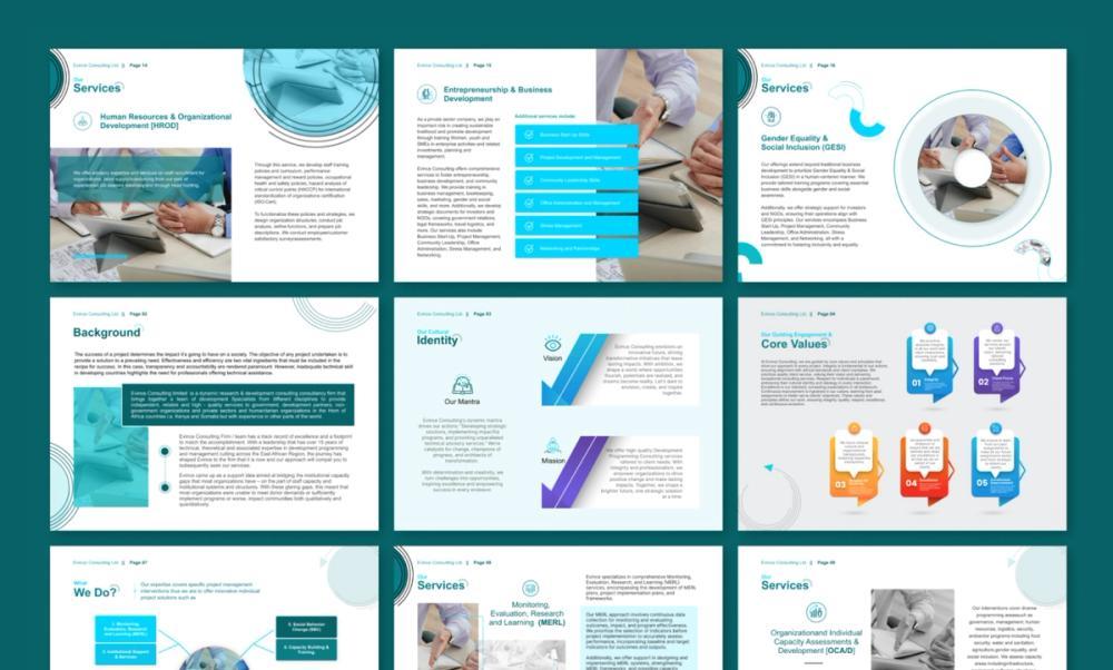 Screenshot of consulting company brochure