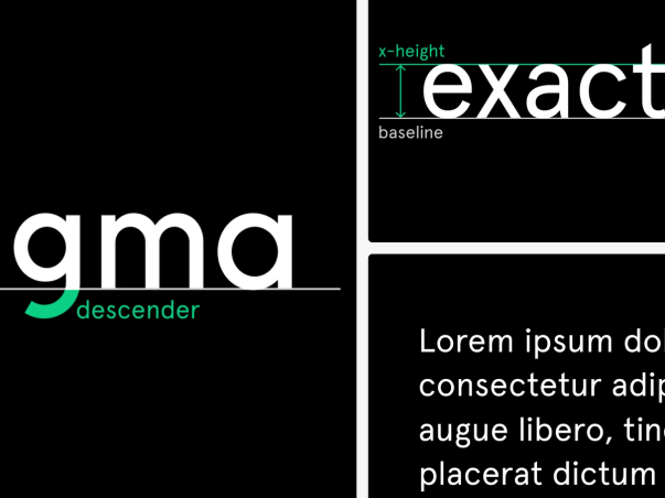 Introducing: Design Dictionary from Figma | Figma Blog