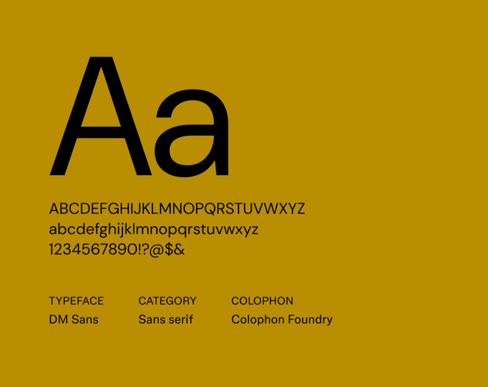 Example text showing DM Sans font.