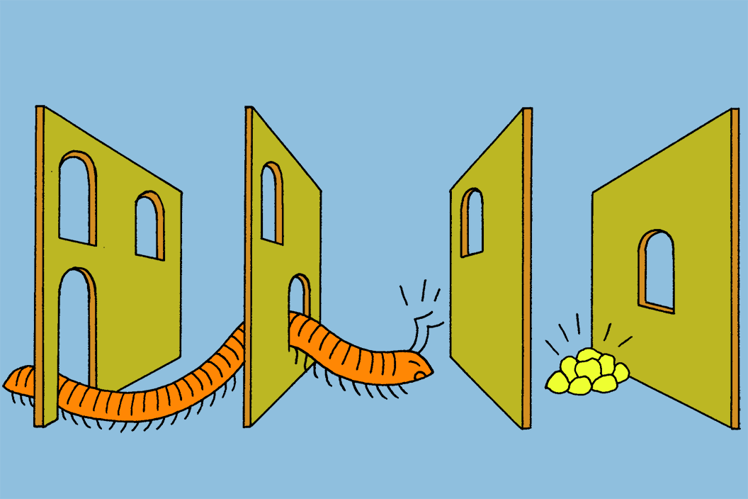A millipede tried to get through four walls stacked side by side, each with windows at different heights. The millipede tries to get the food that's between the third and fourth wall, but can't make it past the second wall.