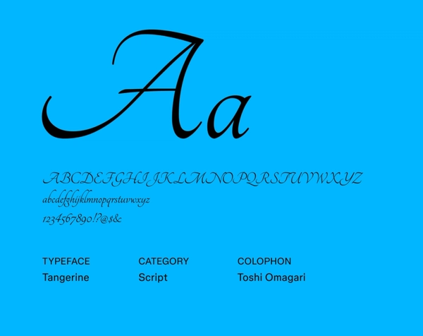 29 Best Script Fonts & How To Choose One | Figma