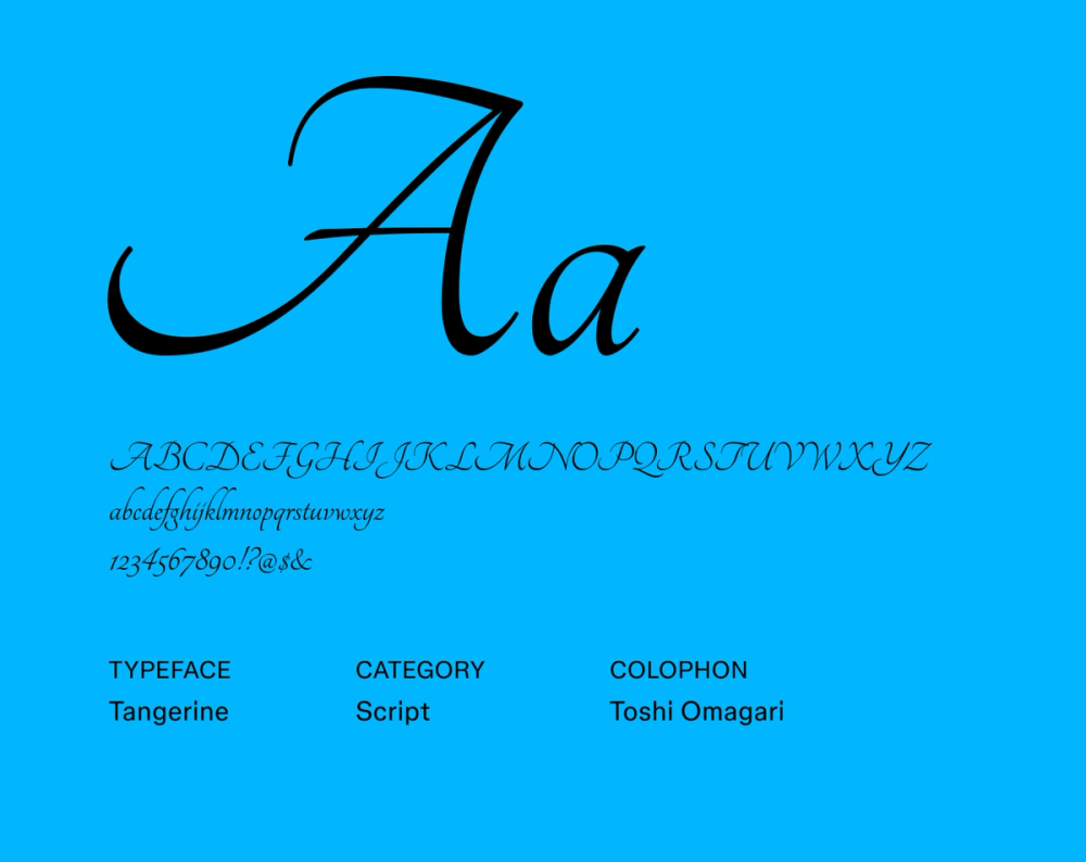 29 Best Script Fonts & How To Choose One | Figma