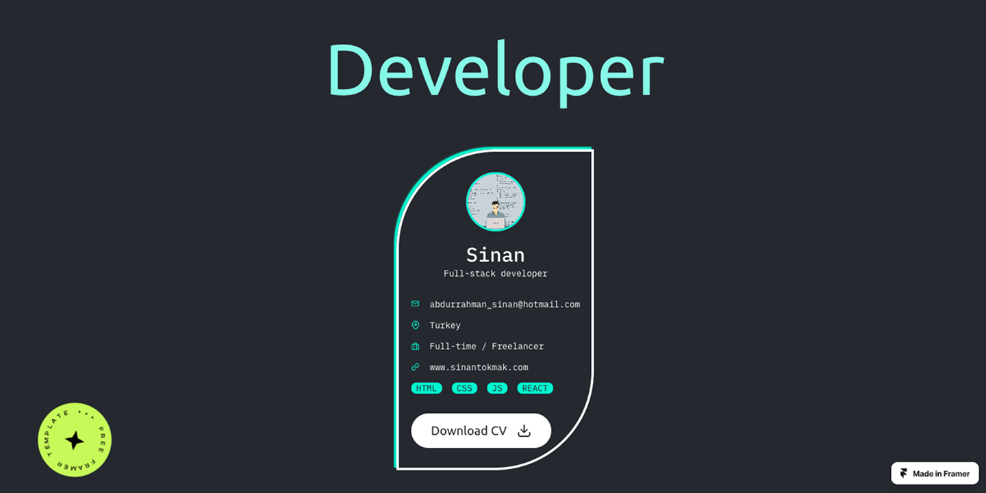 Sinan Tokmak's portfolio website