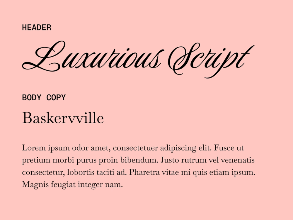 Luxurious Script and Baskervville wedding font pairing