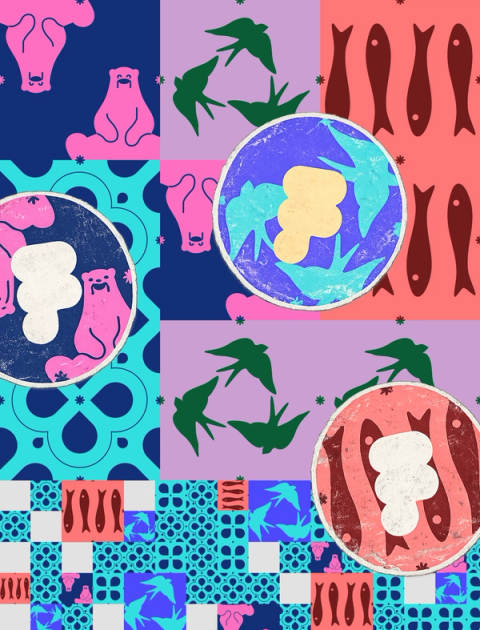 A colorful collage showcases the branding of different Portuguese chapters