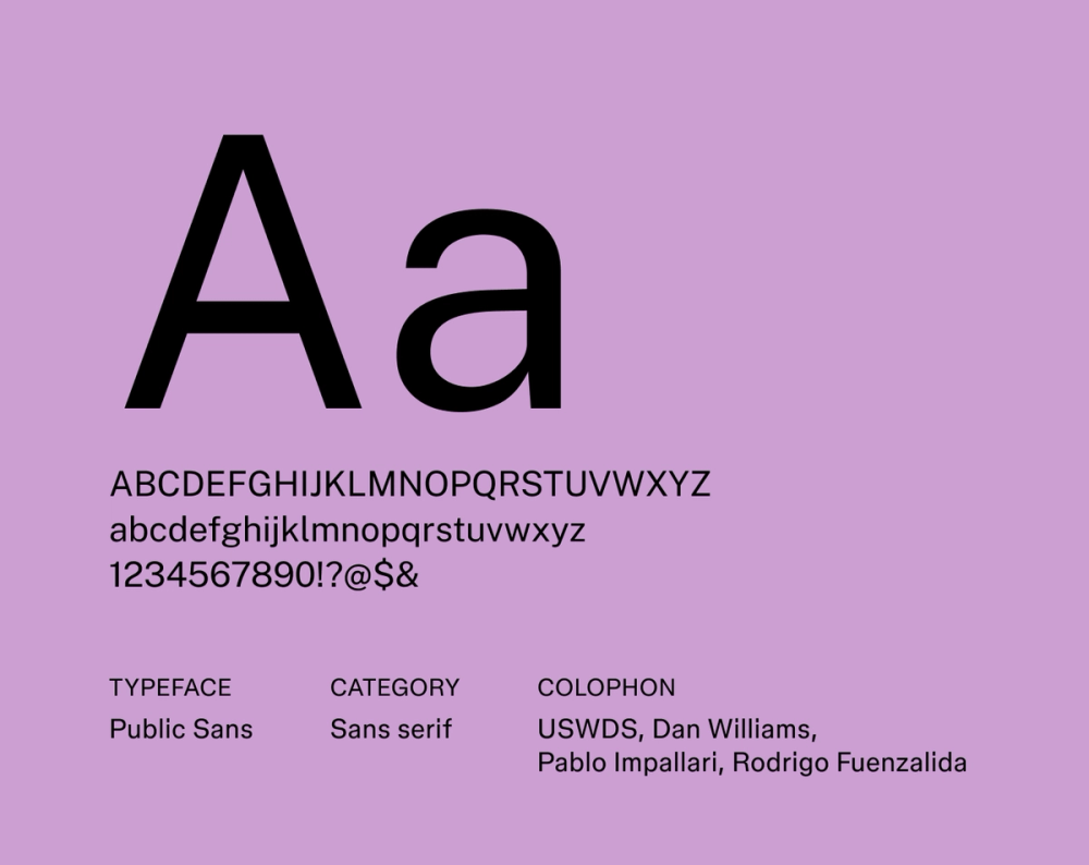 Example text showing Public Sans font.