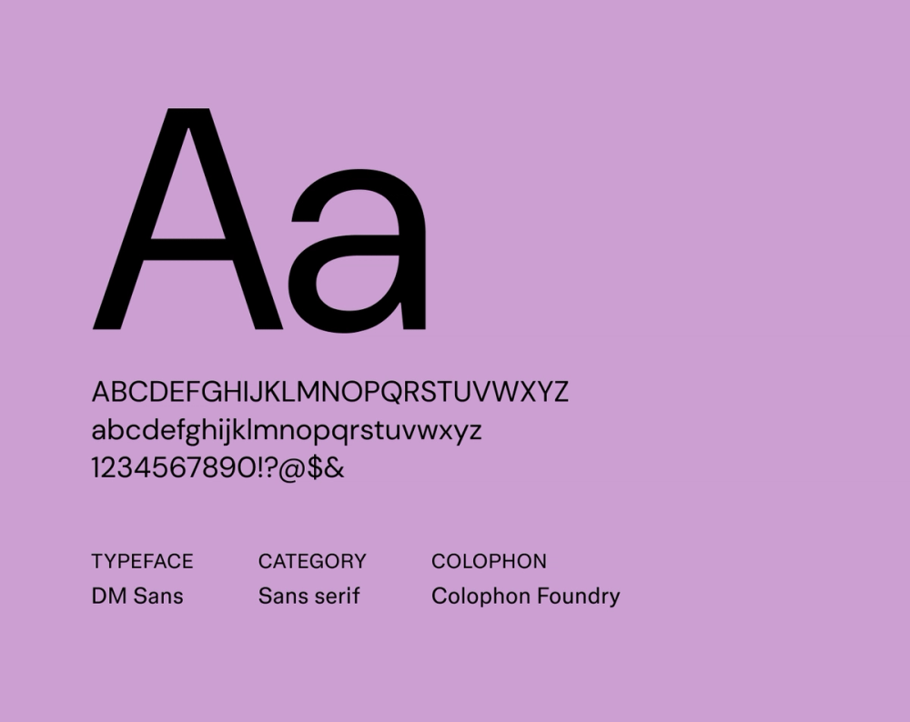 DM Sans resume font example.