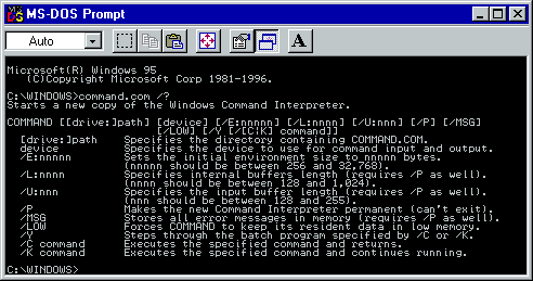 An MS-DOS interface showing lines of white text on a black background.