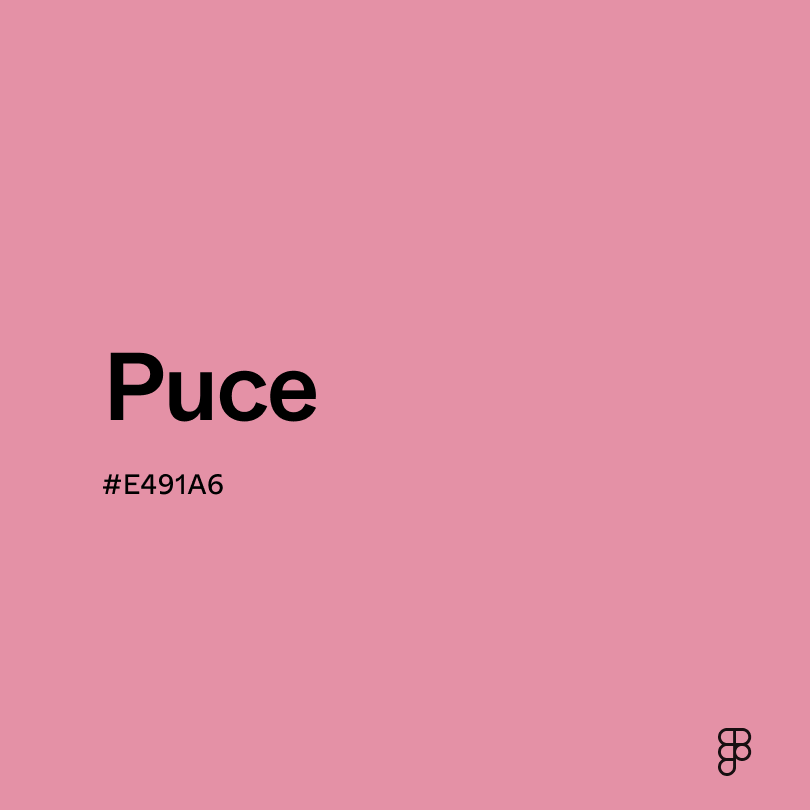 Rose Color: Hex Code, Palettes & Meaning | Figma