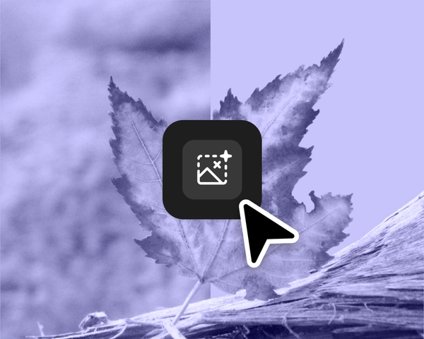 a greyscale leaf with a remove background icon hovering on top