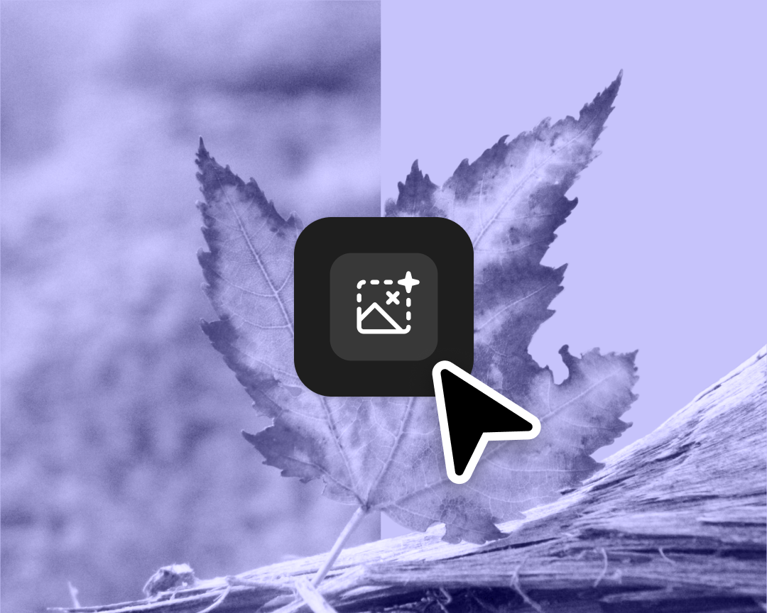 a greyscale leaf with a remove background icon hovering on top